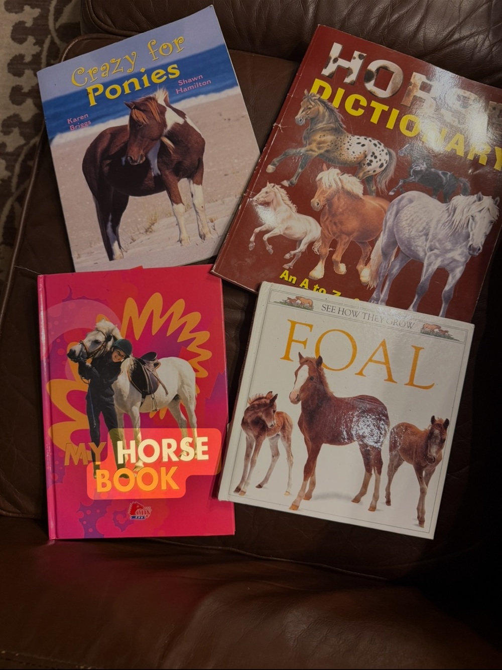 Horse books kids
